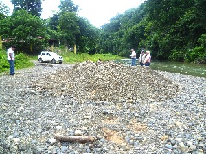 extraccion ilegal rio tulin.jpg